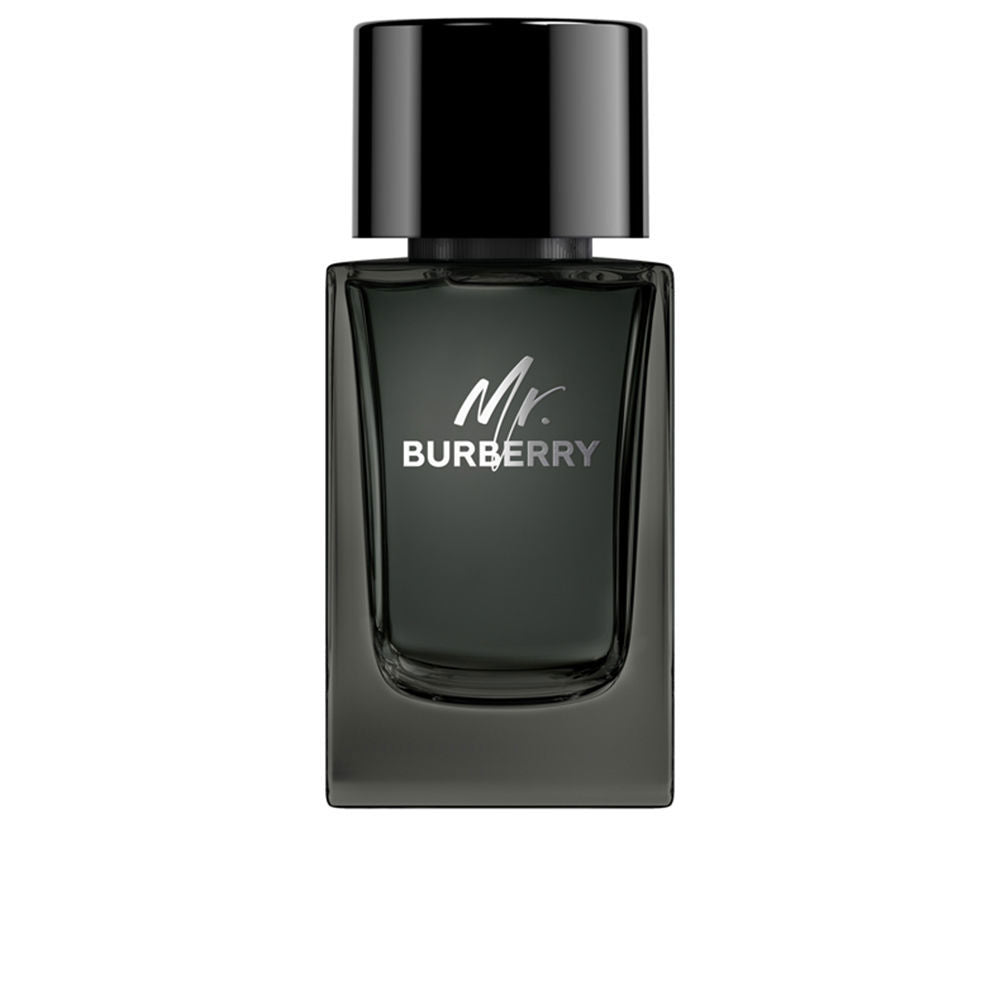 Burberry Mr. Burberry Man Eau de Parfum 100ml